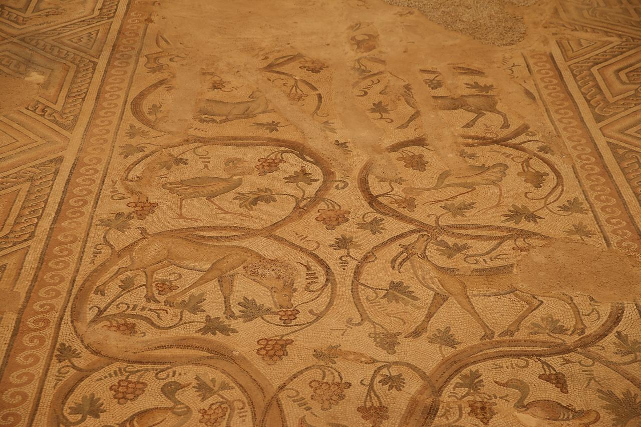 A 125-square-meter mosaic preserved in one piece in the ancient city of Perre, one of the five major cities of the Kingdom of Commagene, is reopened to visitors following cleaning and conservation work, Adiyaman, Türkiye, July 26, 2025. (AA Photo)