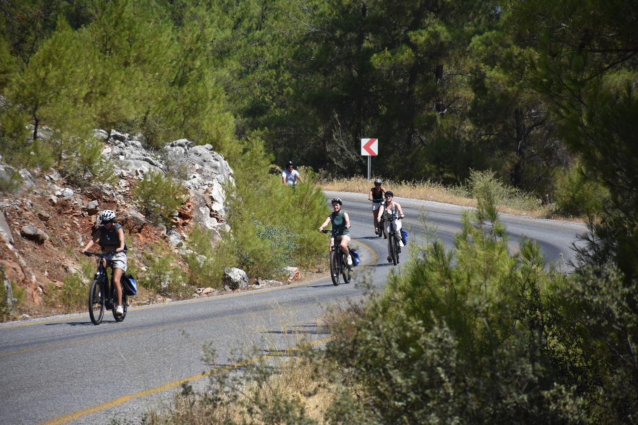 Tourists arriving in the Bodrum district of Mugla, Türkiye, by cruise ships spend time on cycling tours through the region’s rural areas, July 27, 2025. (AA Photo)