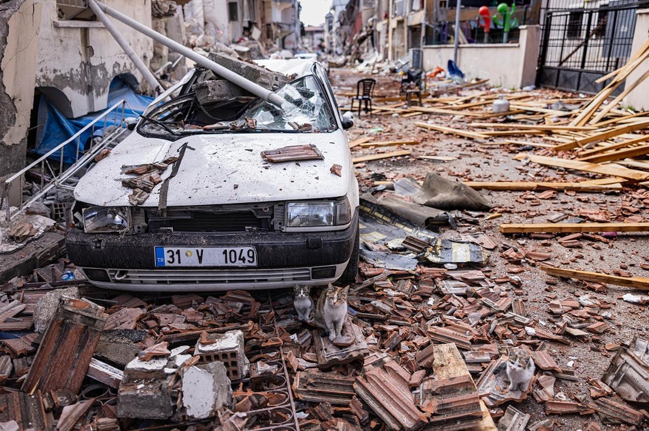 Earthquake news photo