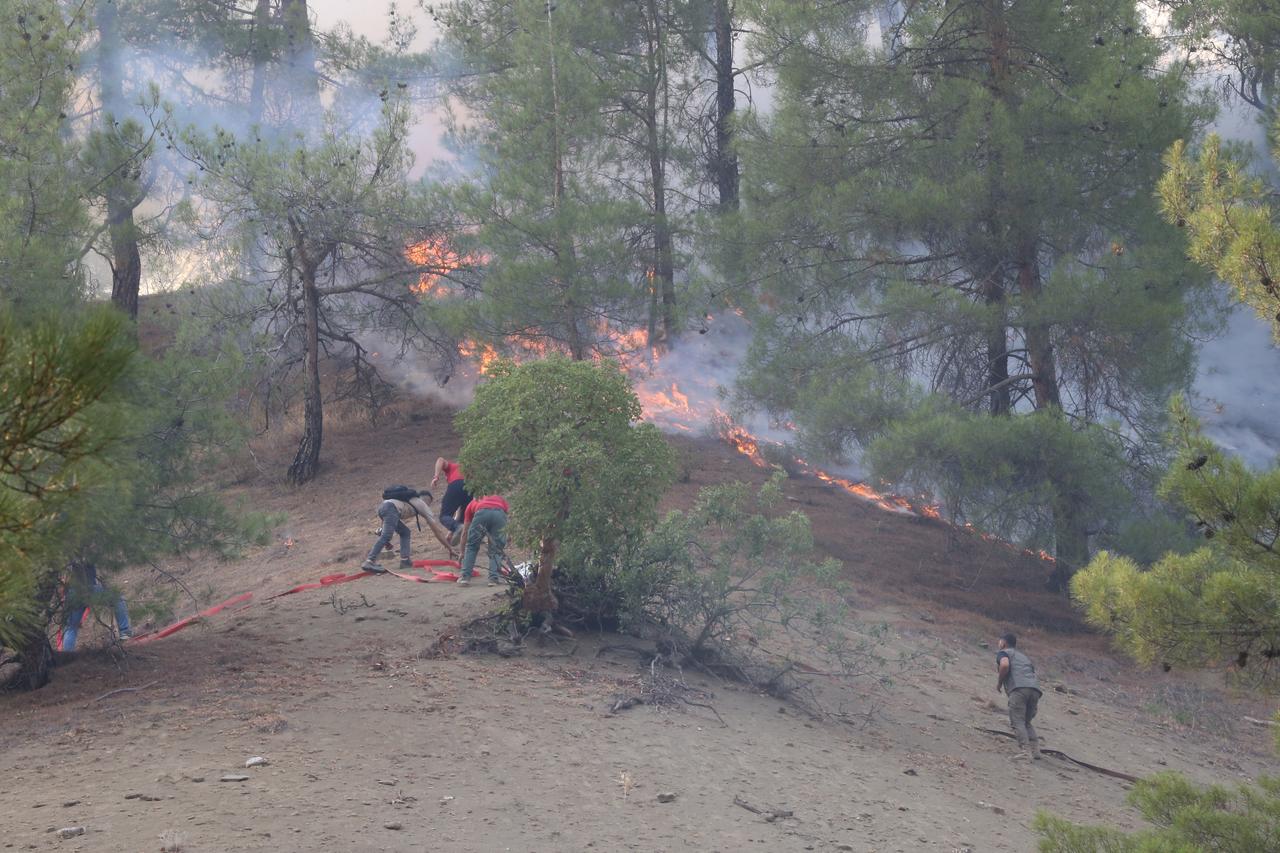 A view of the forest fire that broke out yesterday continue to be battled both by air and land in Onikisubat district of Kahramanmaras, Türkiye, July 27, 2025. (AA Photo)