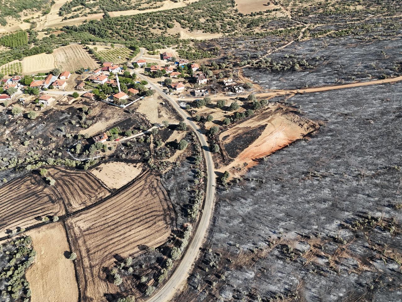 In Türkiye’s Usak province, a wildfire that began in an area of oak scrub and spread to the surrounding forest is now in its second day; firefighting teams are working to extinguish the blaze both from the air and on the ground. Several homes and barns were burned in the villages of Ketenlik and Erici, July 27, 2025. (AA Photo)