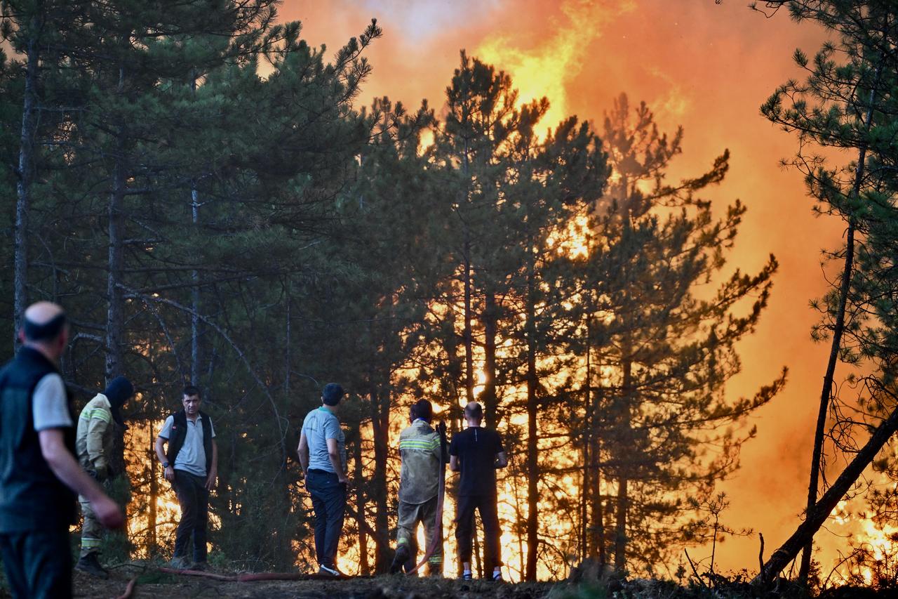 Half of Türkiye’s wildfires sparked by negligence and carelessness, experts say