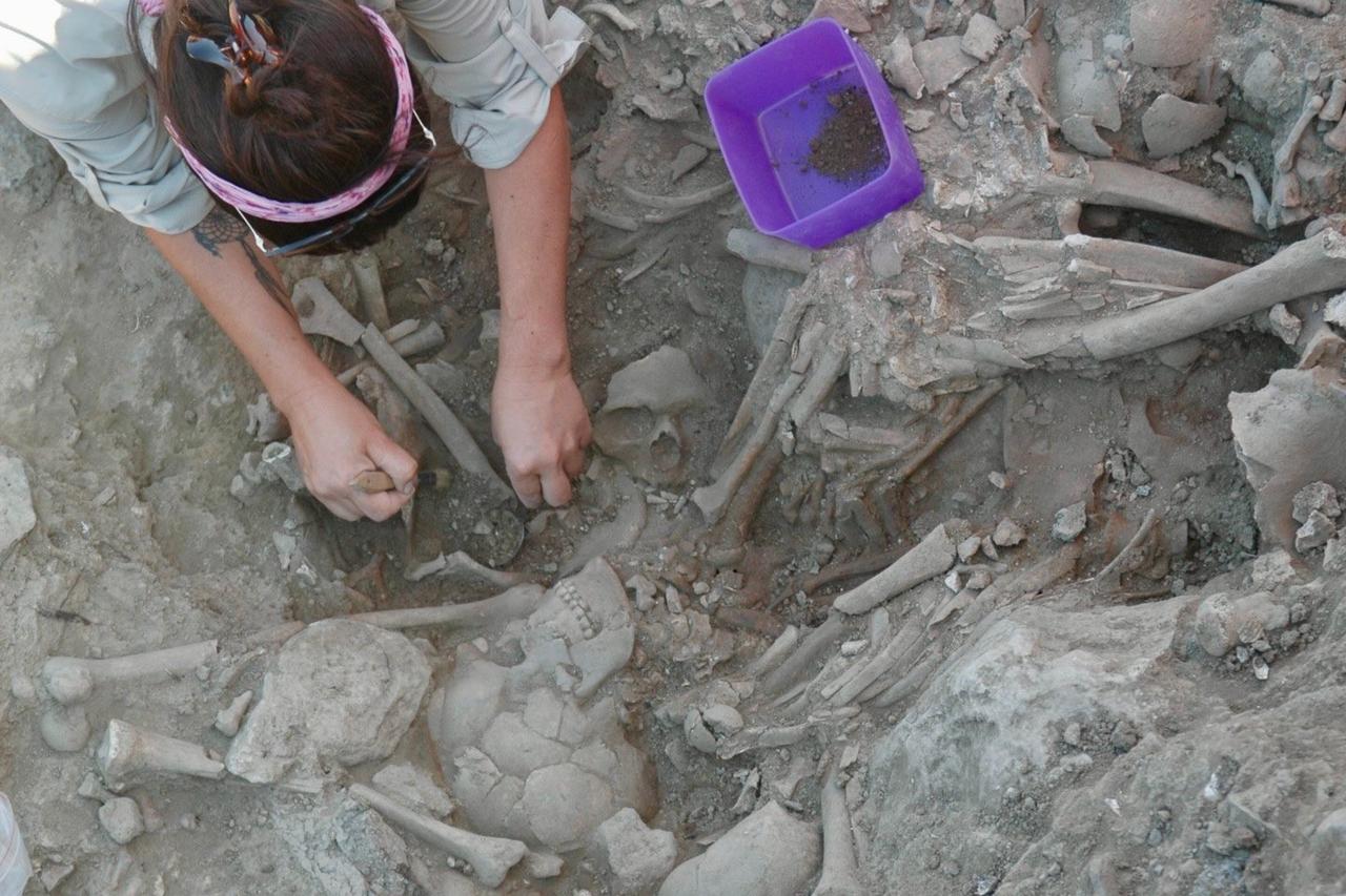 Neolithic village uncovered on Gokceada shows first signs of farming in Aegean region Image