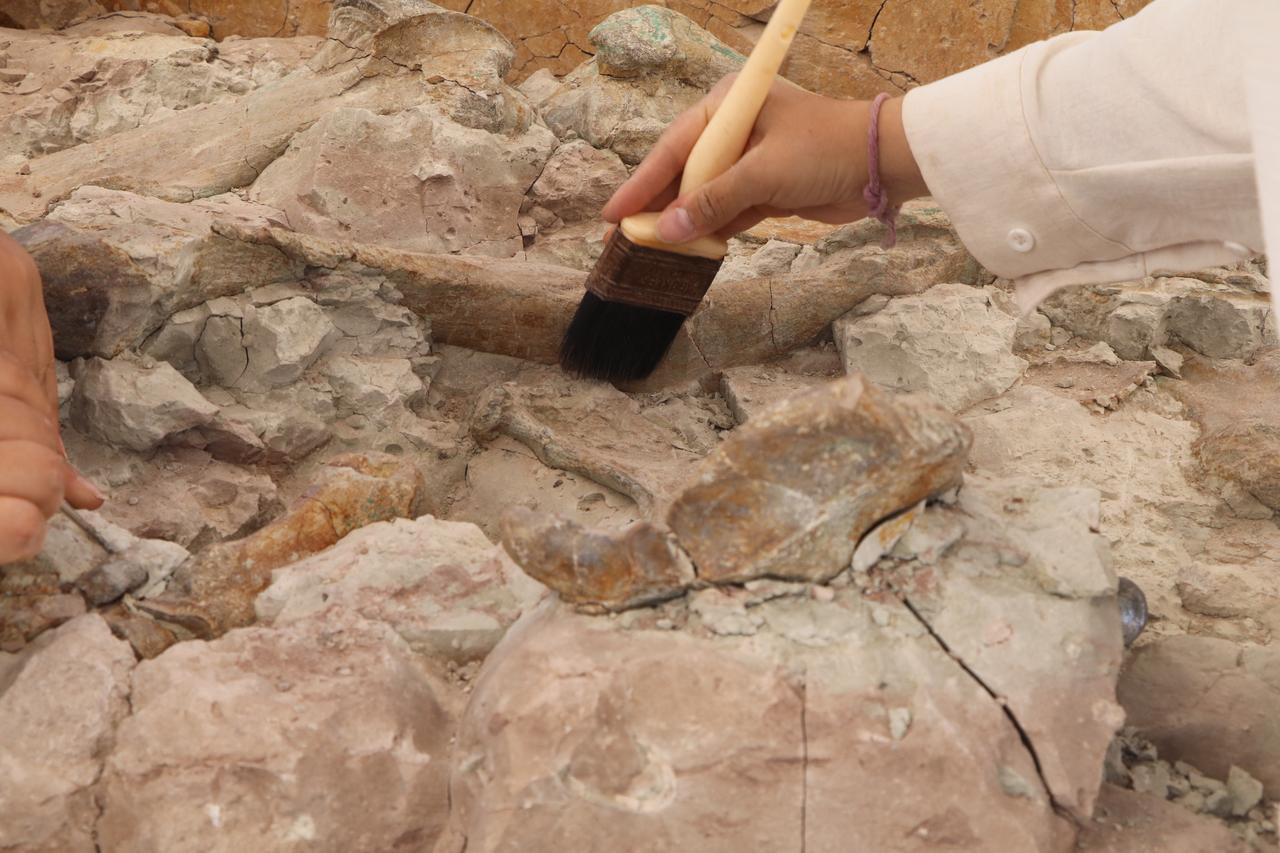 Excavations at Corakyerler site in Cankiri, Türkiye, July 29, 2025. (AA Photo)