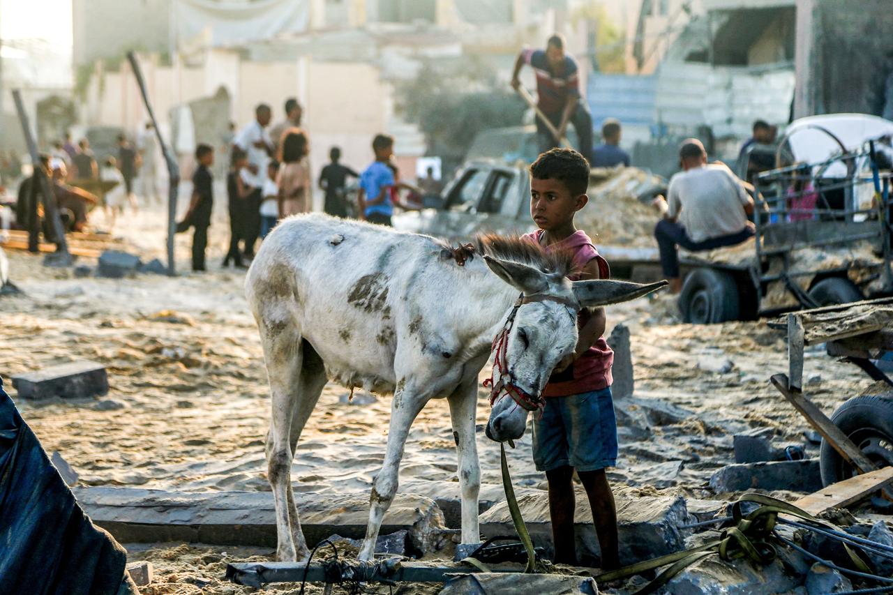 A boy strokes the neck of a donkey as they stand amidst rubble following overnight Israeli bombardment in northwest of Khan Yunis in southern Gaza Strip on July 28, 2025. (AFP Photo)