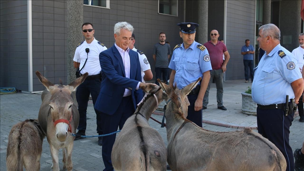 In a symbolic act, lawyer Arianit Koci led four donkeys to the parliamentary courtyard in protest of the ongoing political deadlock. (AA Photo)
