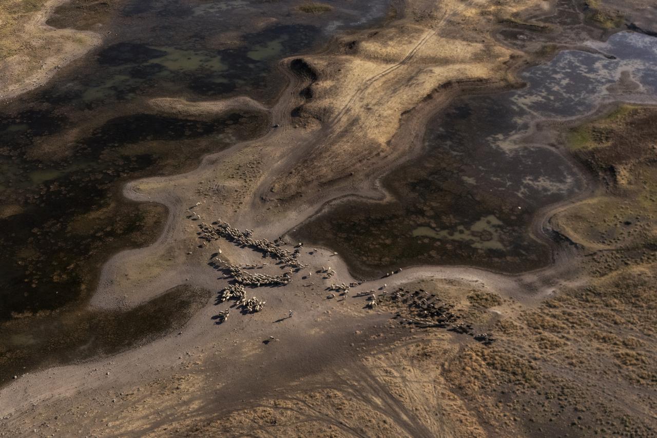 Türkiye’s climate crisis hits hard: Devegecidi dam runs dry Image