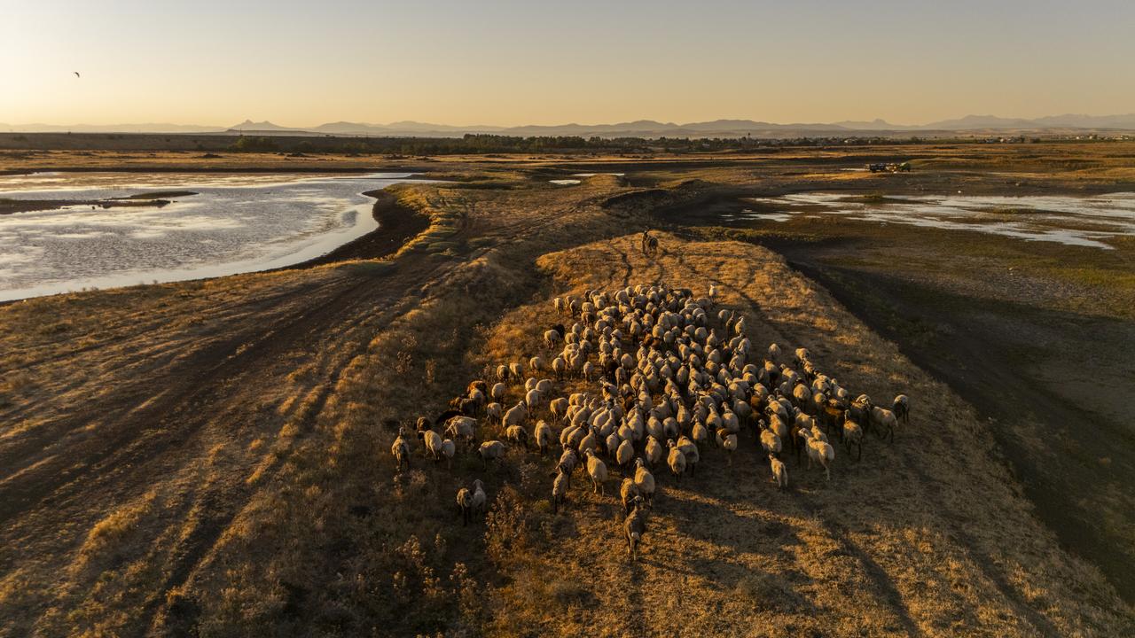 Aerial view of Devegeçidi Dam Lake in Diyarbakır, Türkiye, showing severe drought impacts on the habitat supporting diverse wildlife species, taken, July 1, 2025. (AA Photo)