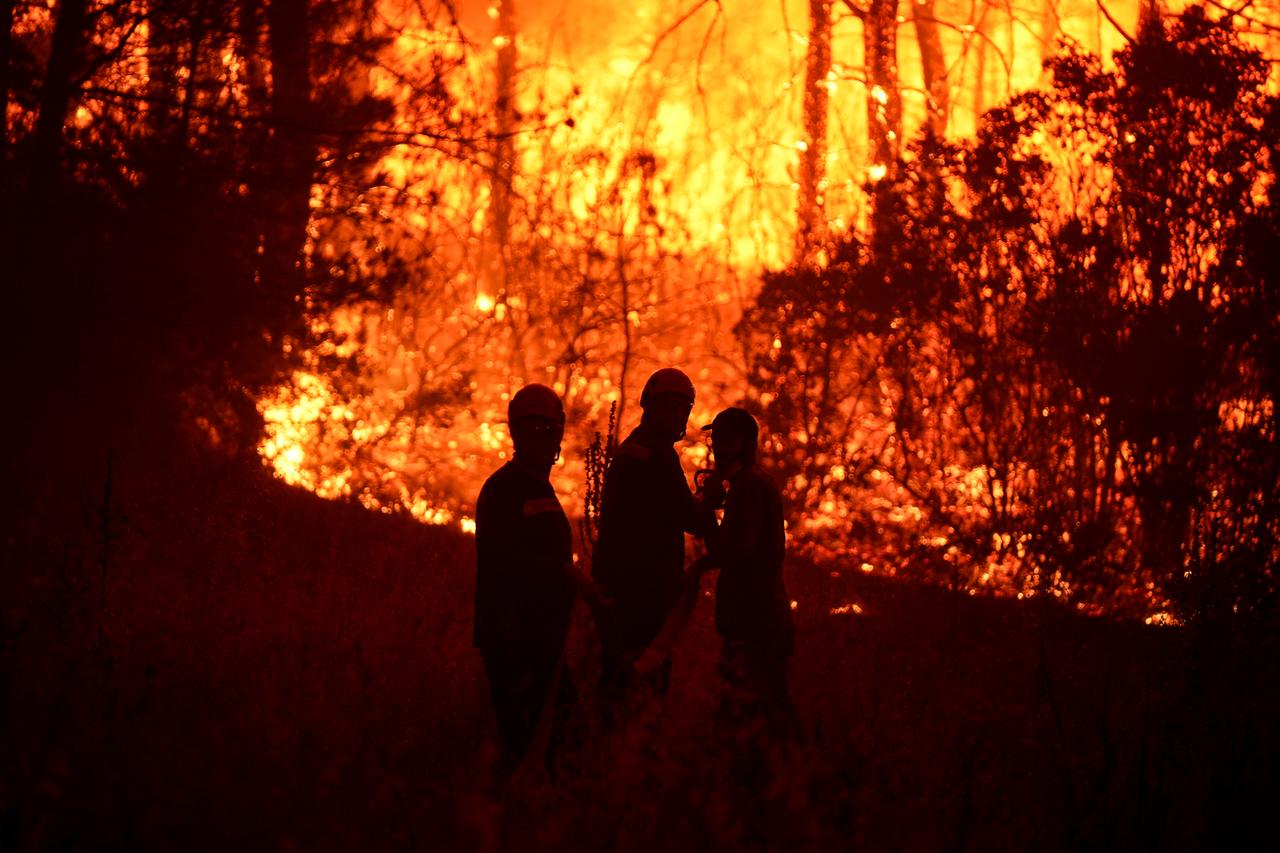Izmir wildfires raise alarm over climate-driven risks in Türkiye Image