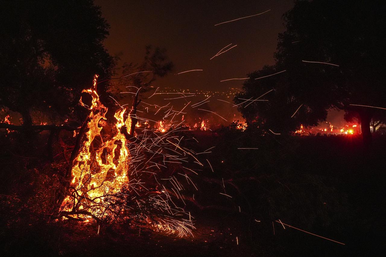 Izmir wildfires raise alarm over climate-driven risks in Türkiye
