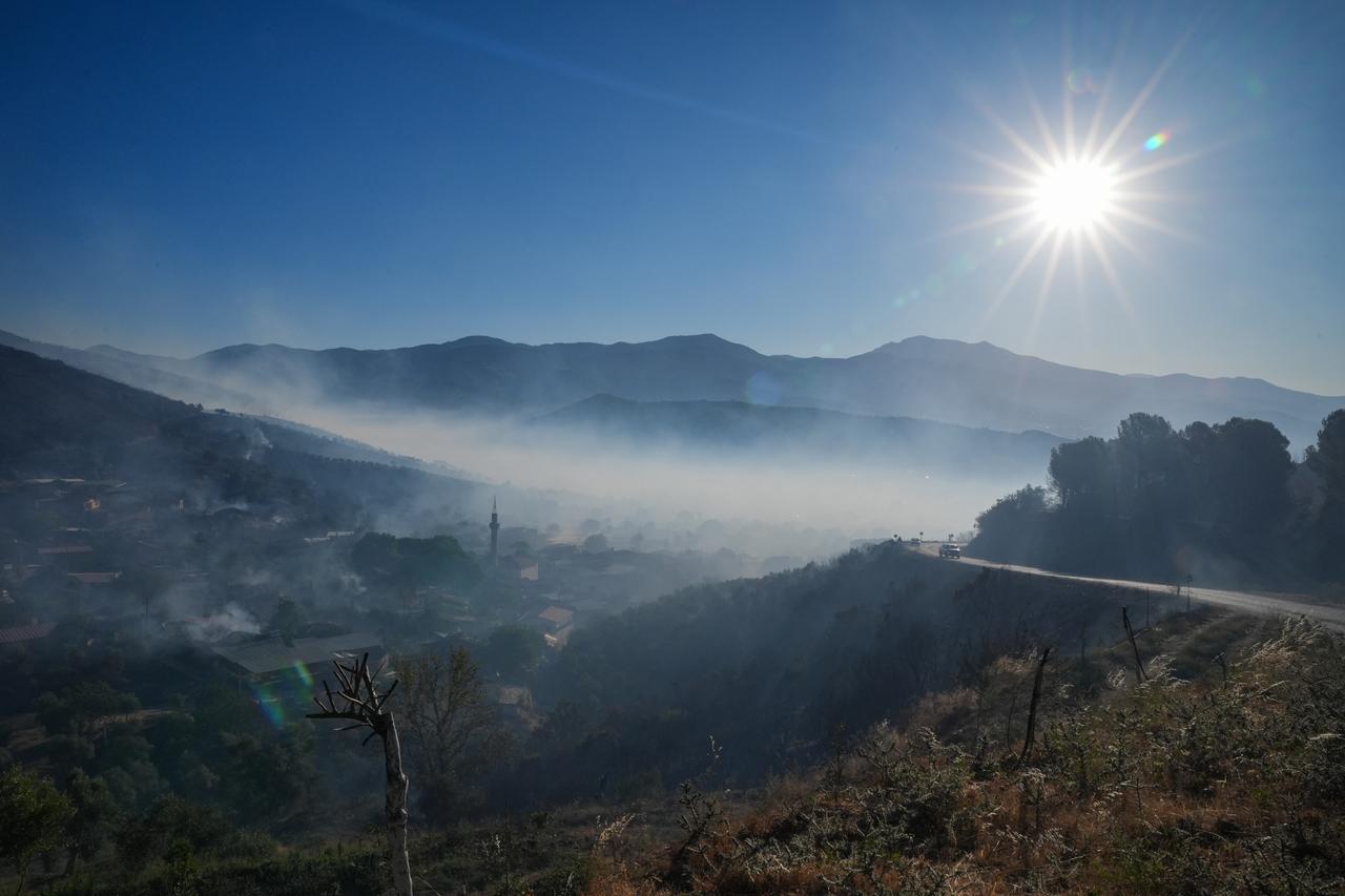 Izmir wildfires raise alarm over climate-driven risks in Türkiye