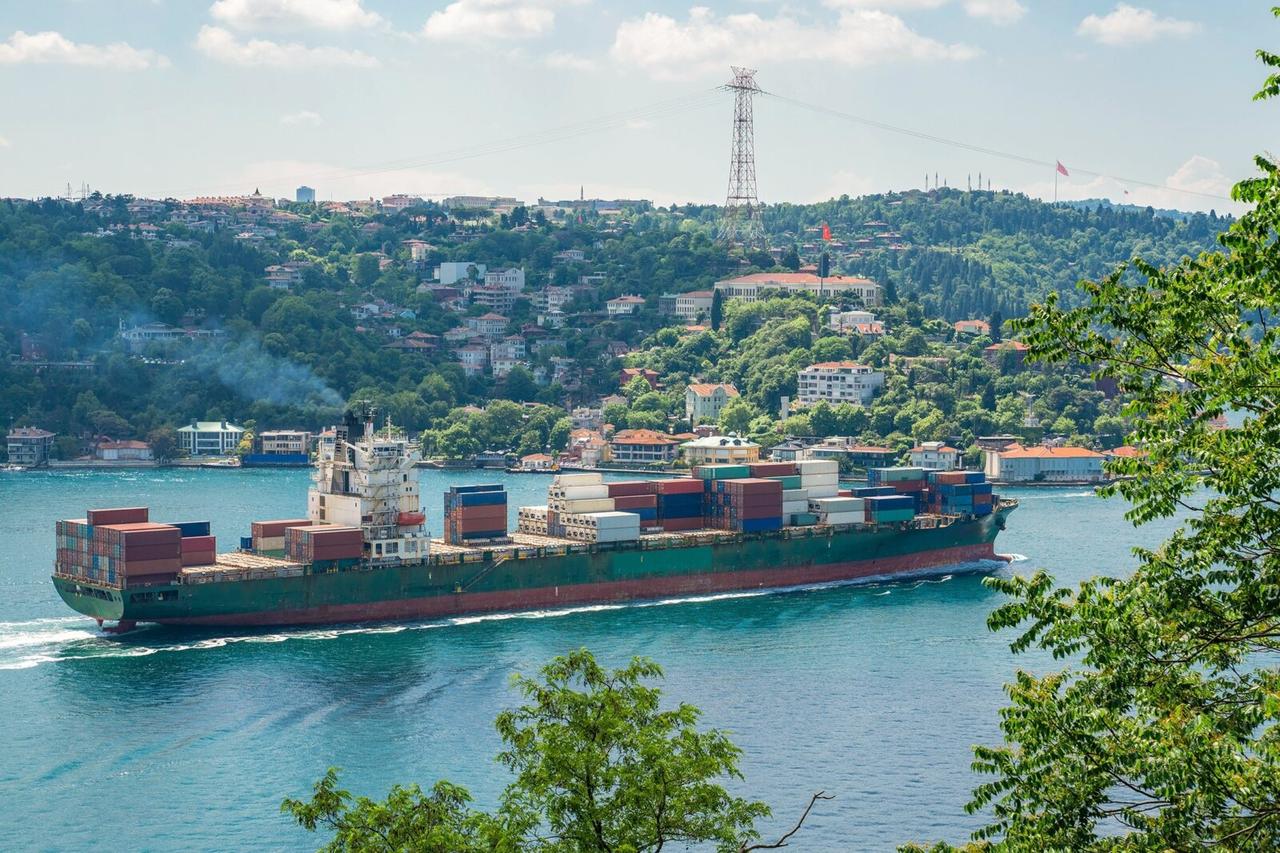 A container ship sails through the Bosporus in Istanbul, Türkiye, June 23, 2021. (AA Photo)