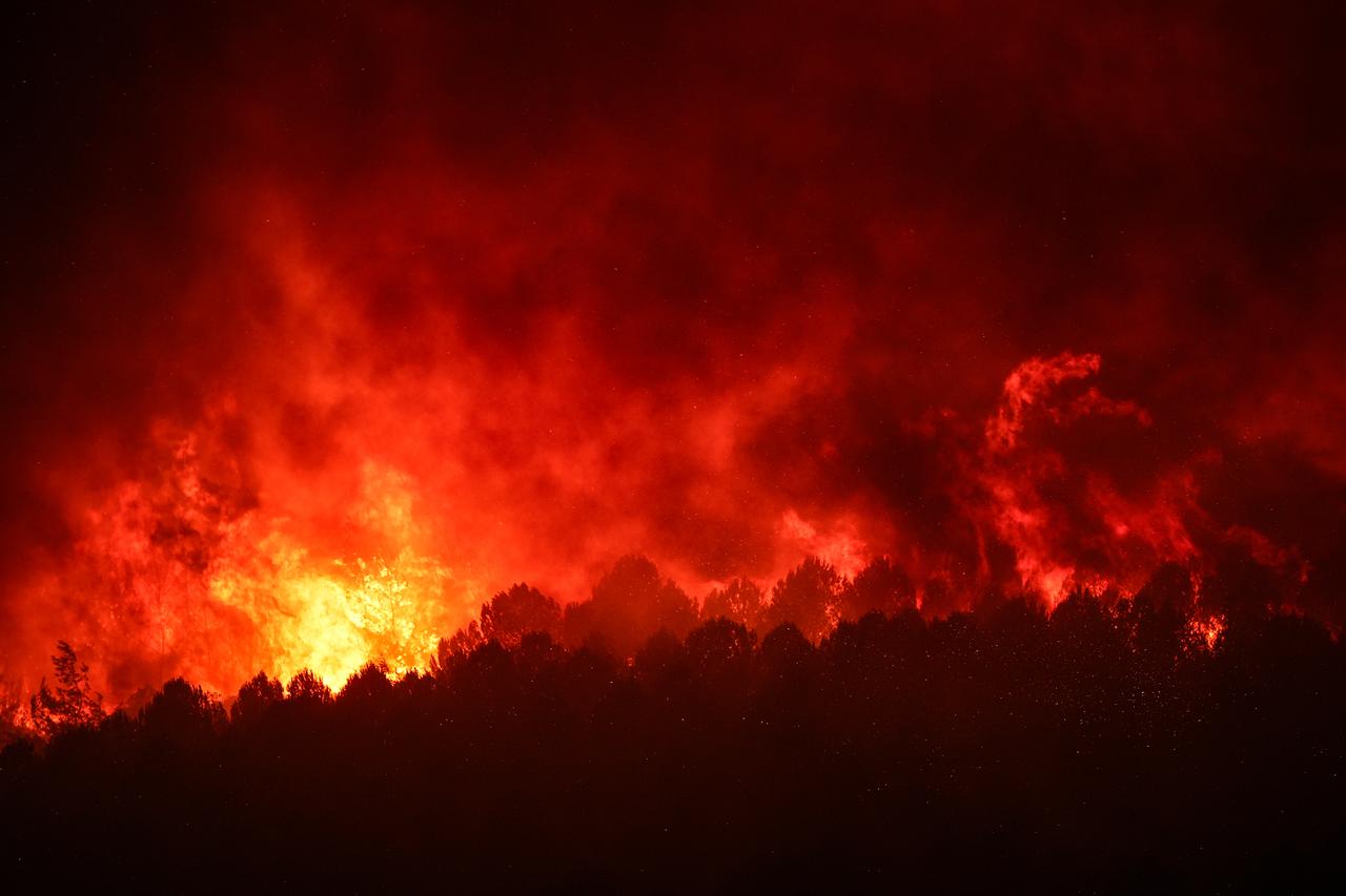 Smoke rises from burning trees while air and land intervention continues against the fire that broke out in the forest area in Buca district of Izmir, Türkiye on July 03, 2025. (AA Photo)