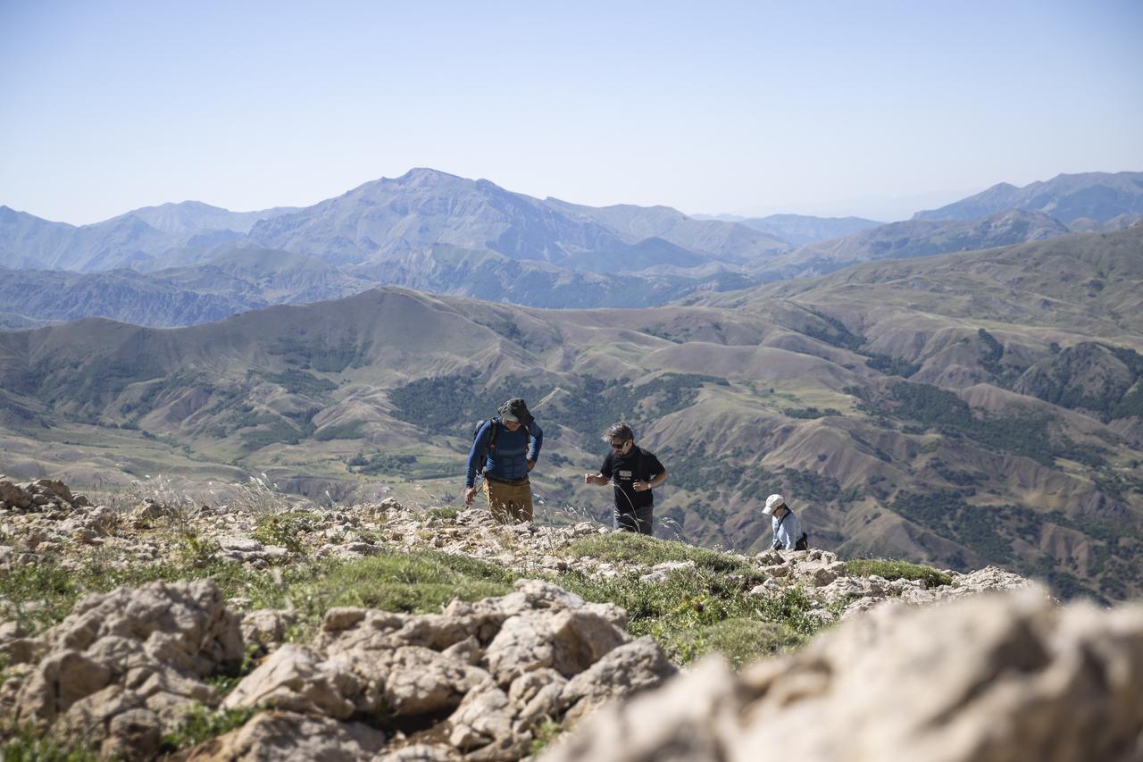 Academics conducting botanical research in the Ovacik and Pulumur districts of Tunceli, Türkiye, July 6, 2025. (AA Photo)