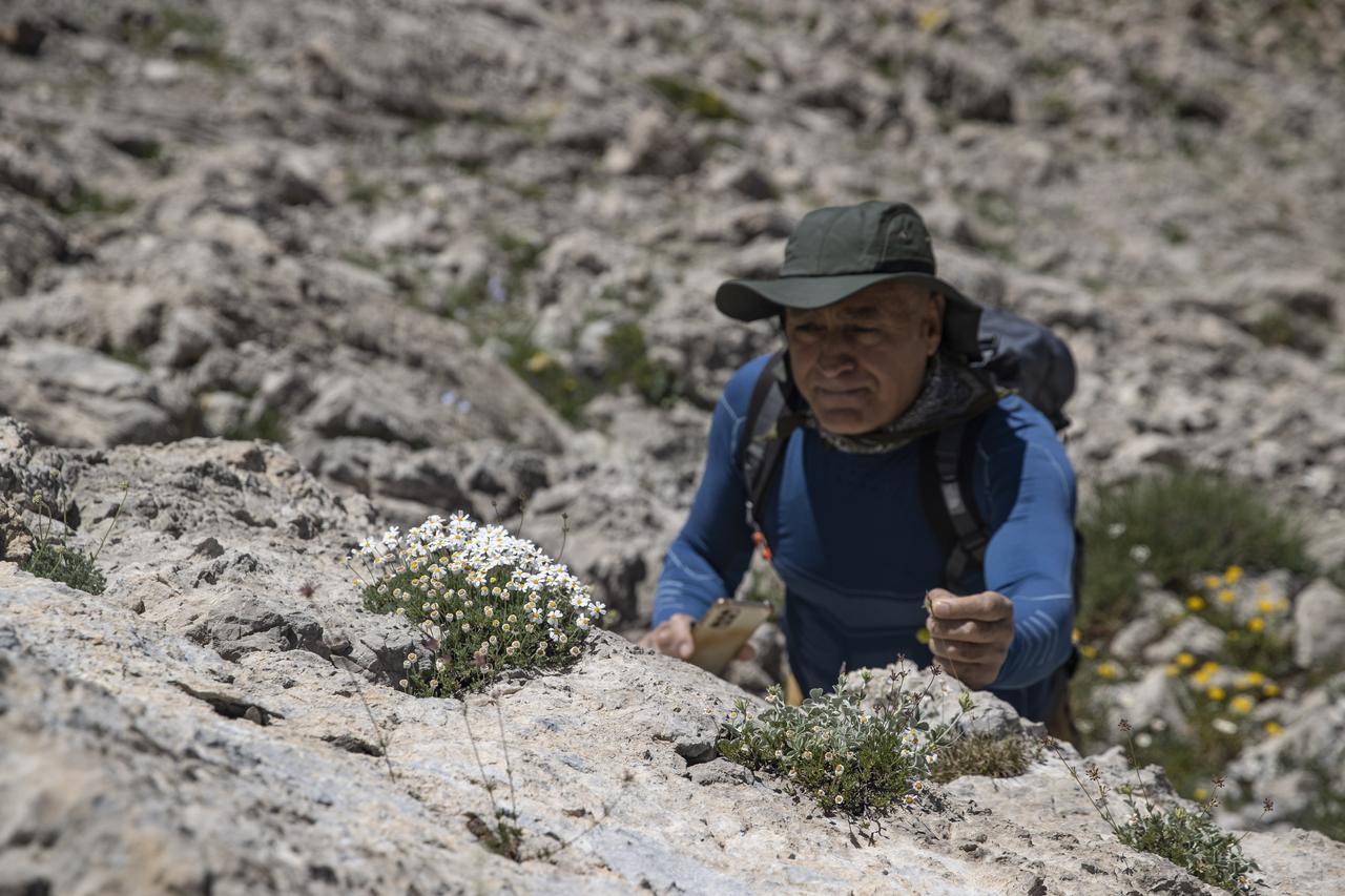 Academics conducting botanical research in the Ovacik and Pulumur districts of Tunceli, Türkiye, July 6, 2025. (AA Photo)