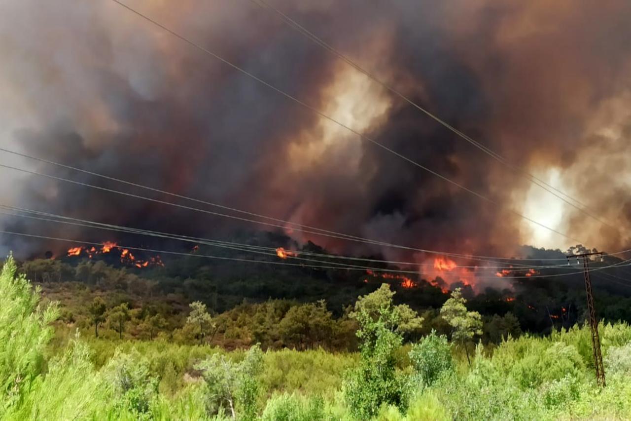 Smoke and flame rise from the area as firefighters on July 04, 2025, in Latakia, Syria. (Photo via - Anadolu Agency )