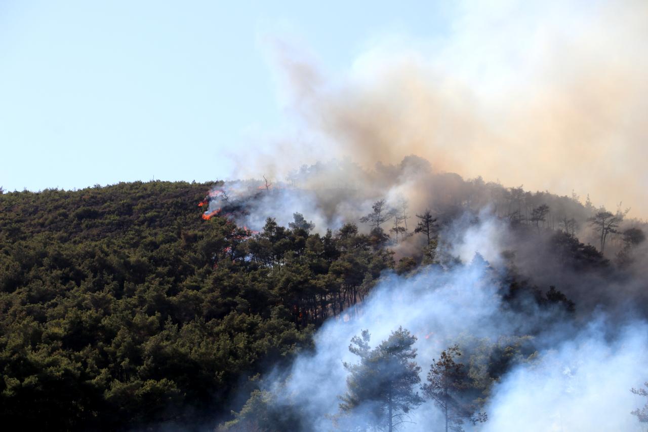 Turkish firefighting teams Join Syria’s battle to contain Latakia wildfires