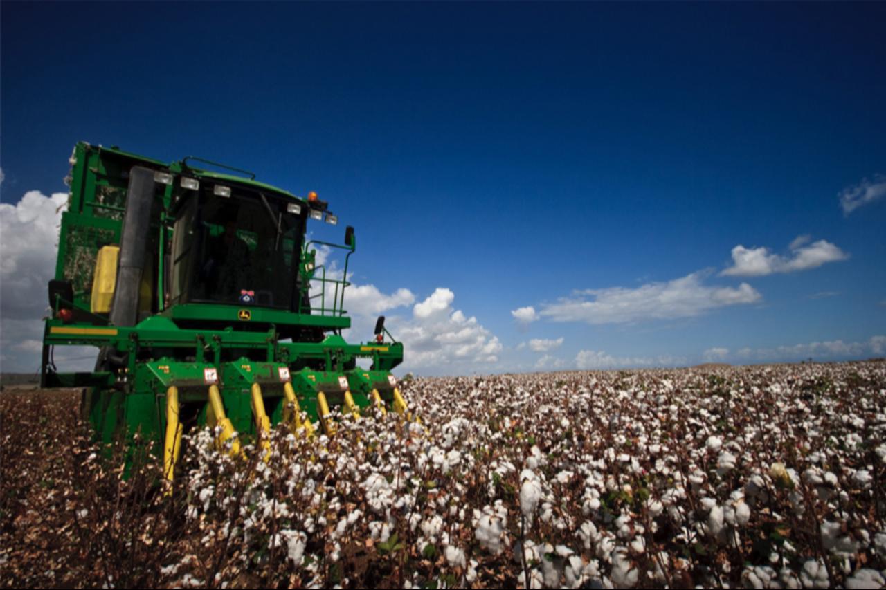 Türkiye now among top 7 nations feeding the world: World Bank