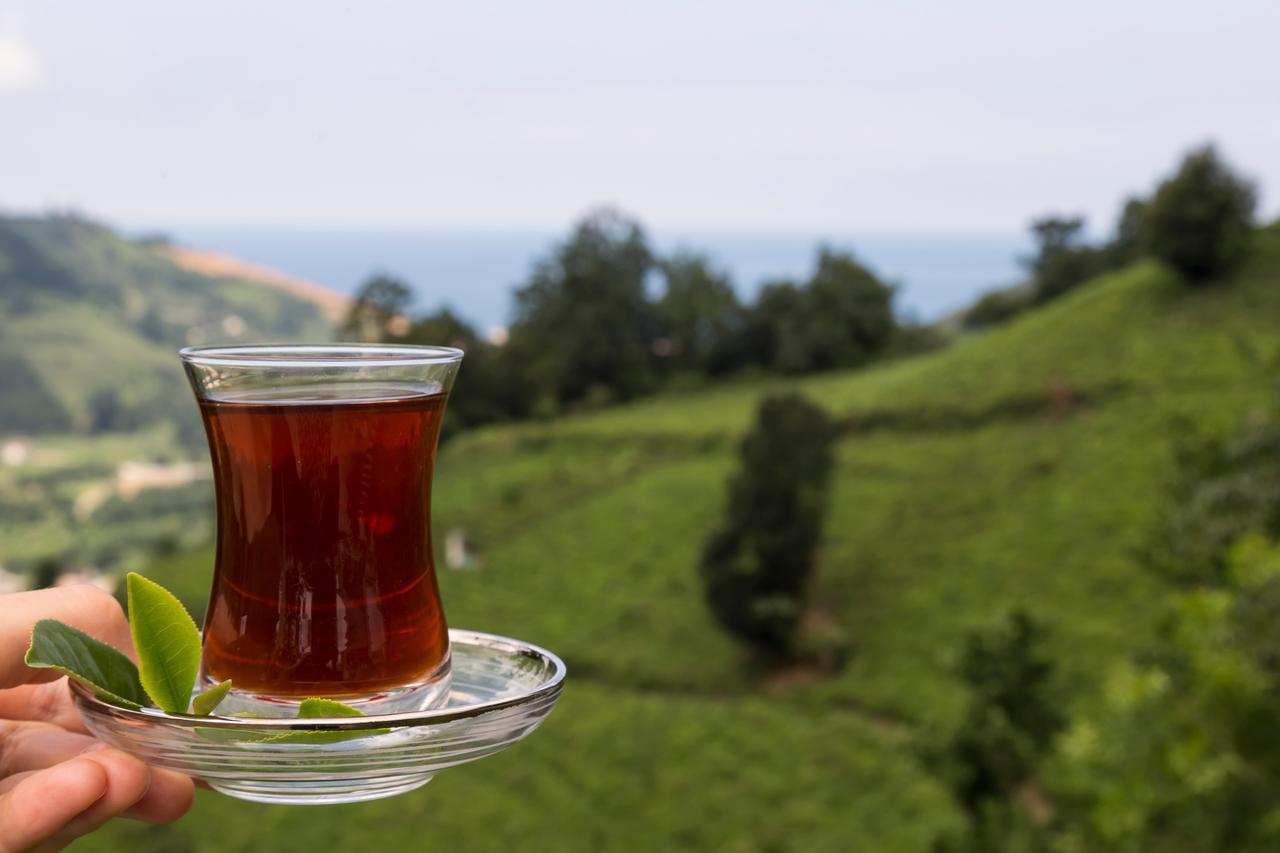 Turkish tea exports rise 22%, reach 104 countries in 1st half of 2025 Image