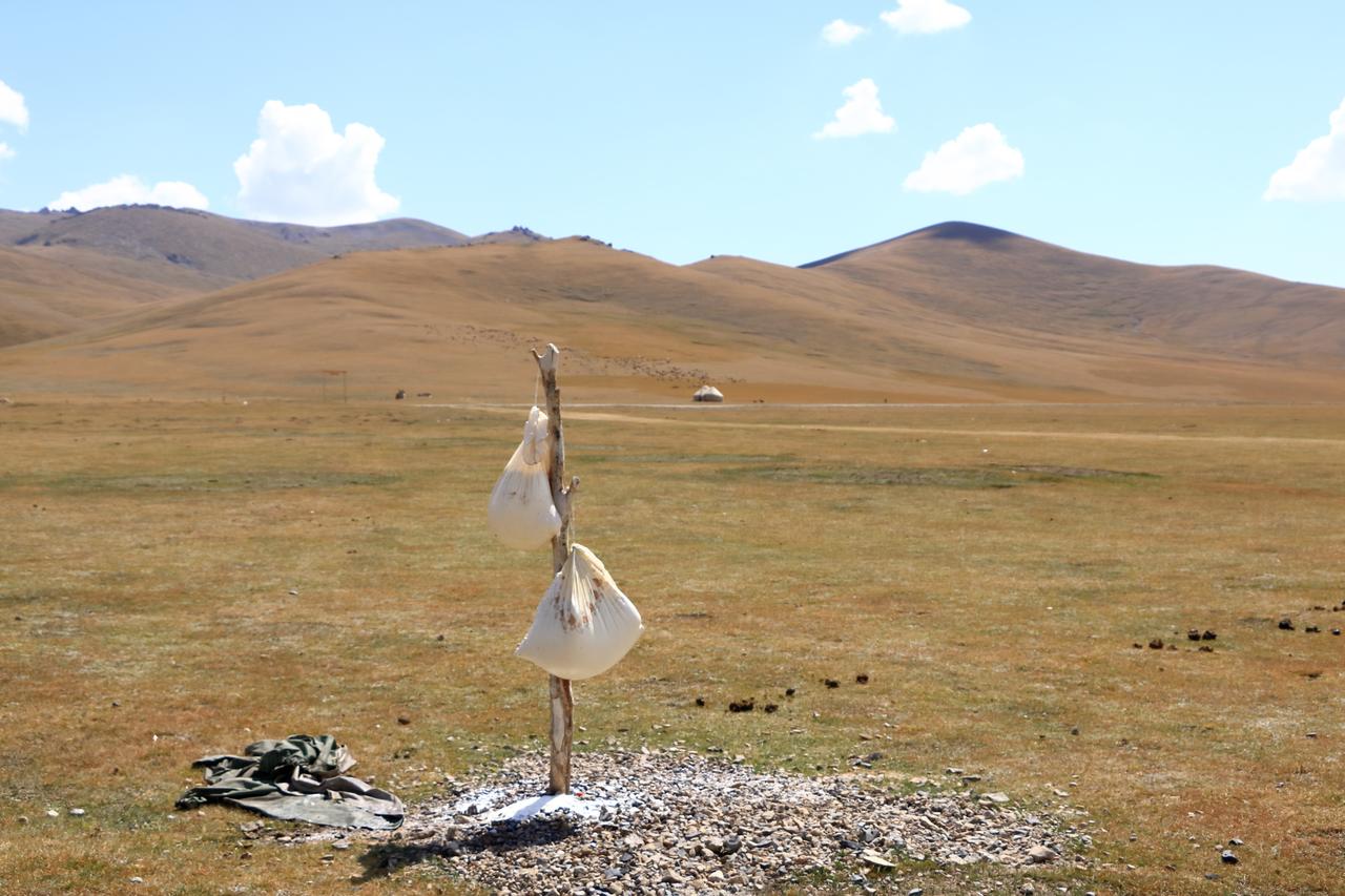 In Kyrgyzstan, yogurt is being strained by hanging it on a short wooden pole made from a tree branch to separate the liquid. (Adobe Stock Photo)