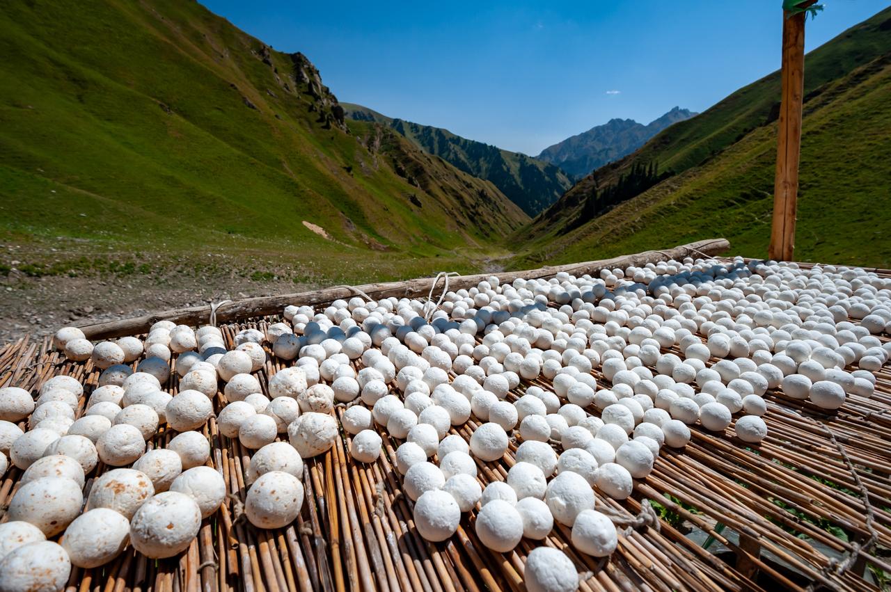 Salty dried kurut, the national fermented milk product of Central Asia, drying in the mountains near Sary-Chelek Lake in Jalal-Abad Region, Kyrgyzstan. (Adobe Stock Photo)