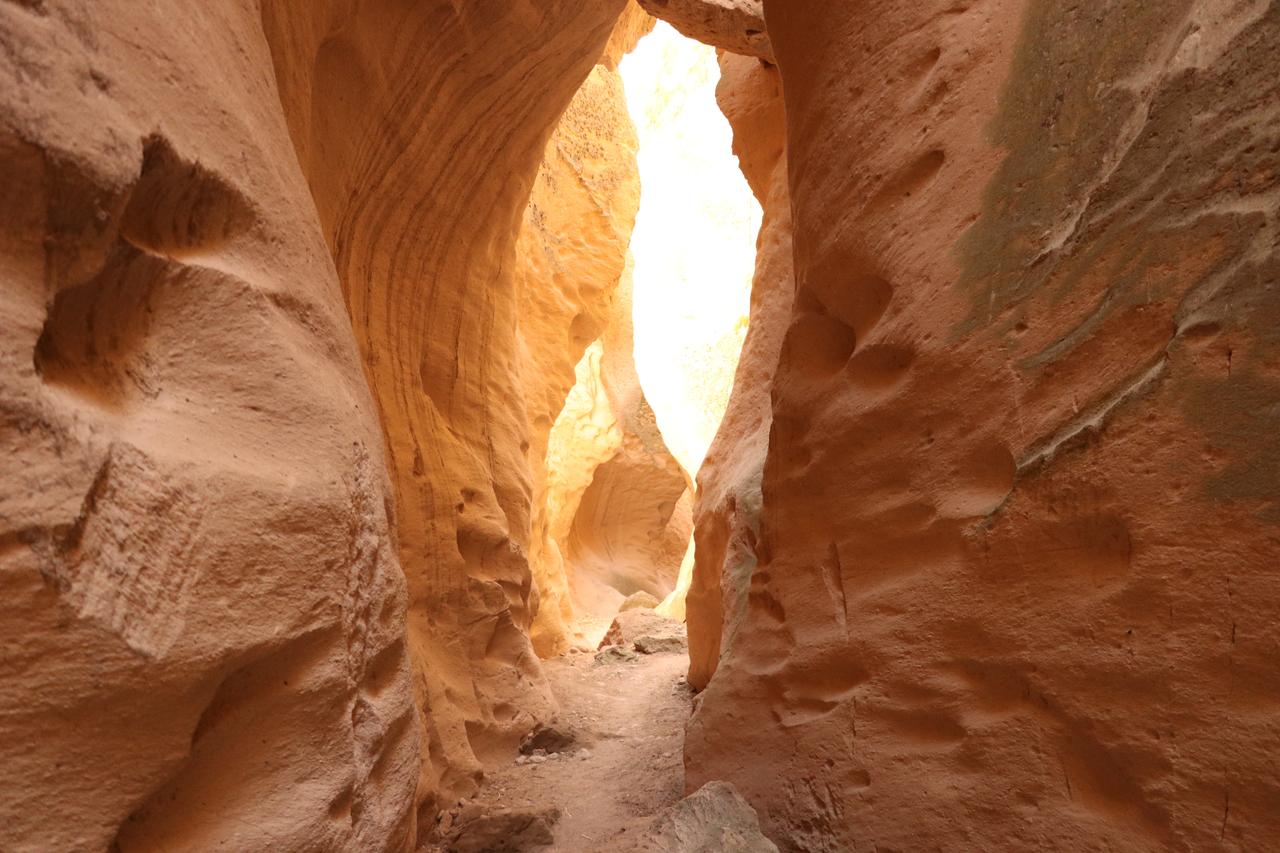 Türkiye’s Avla Canyon offers Petra-like beauty, natural air conditioning Image