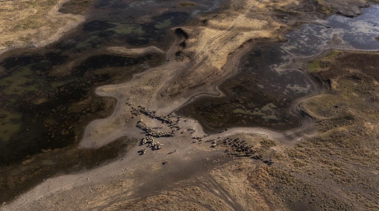 An aerial view of Devegecidi Dam Lake where drought severely affects the habitat that supports a wide range of wildlife species, Diyarbakir, southeastern Türkiye, July 01, 2025. (AA Photo)