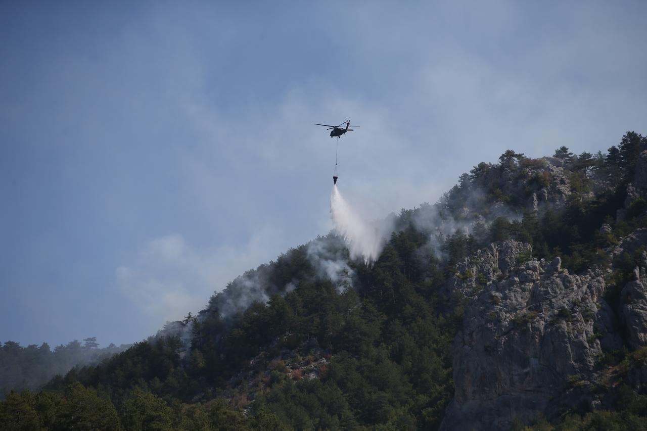 Forest fire continues in Türkiye