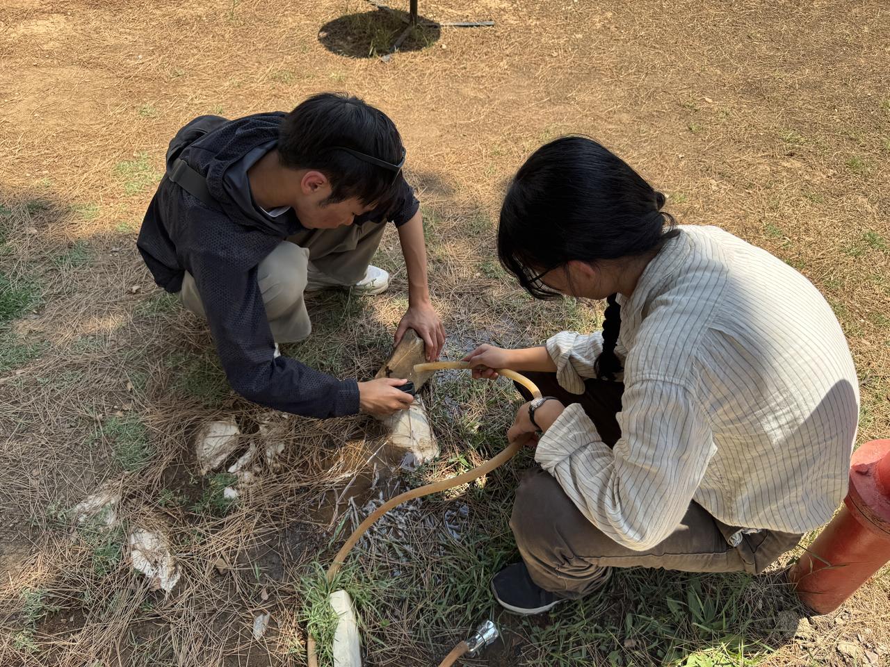 Japanese scientists taking part in the Uc Hoyuk excavations in Türkiye’s Bolvadin district of Afyonkarahisar in the hope of finding the lost city of Purushanda have included their students in this year’s work, August 11, 2025. (AA Photo)