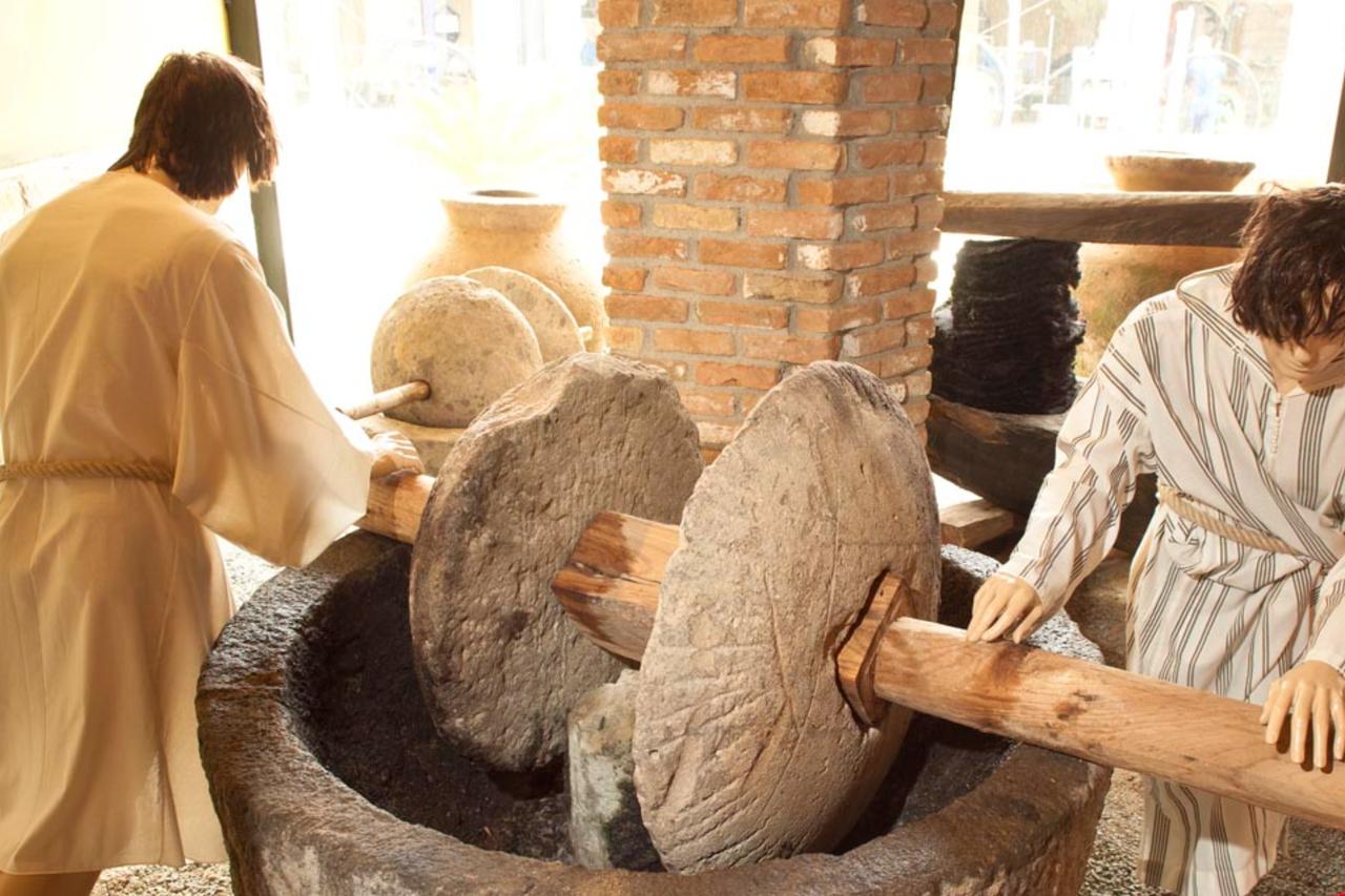 A reconstruction of a “trapedium” used for olive crushing, consisting of a conical carved stone basin and two vertical stone discs attached to an axle, at the Oleatrium Olive and Olive Oil History Museum in Kusadasi Aydin, Türkiye. (Photo via Oleatrium Olive and Olive Oil History Museum)