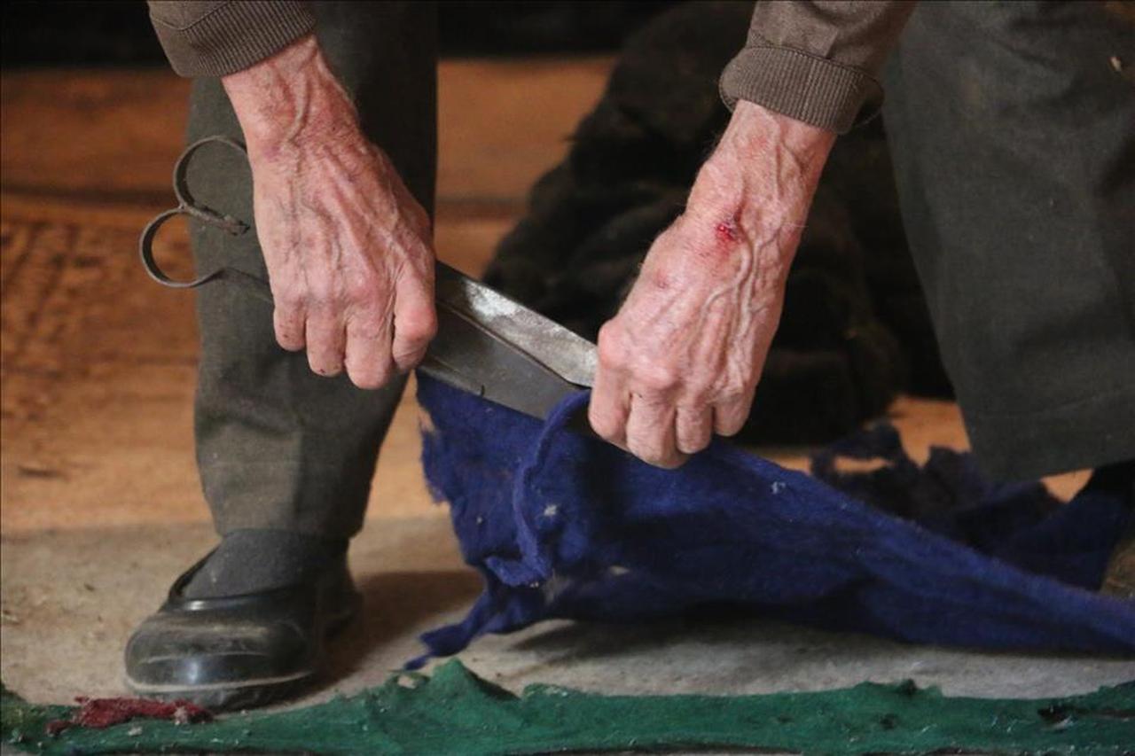Close-up of Ethem Hallac cutting felt with large tailor’s shears during the kepenek-making process, Türkiye, October 25, 2015. (AA Photo)