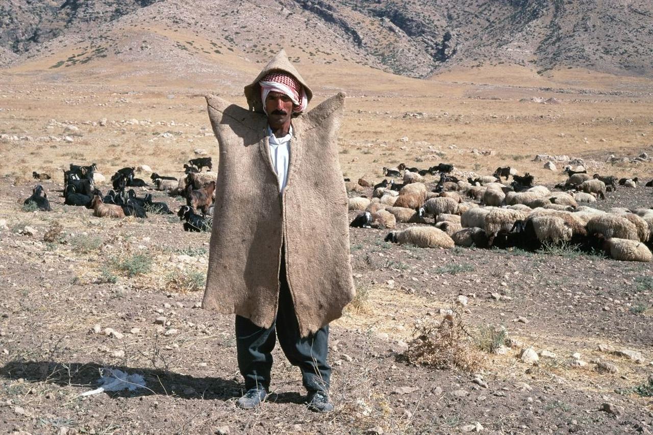 Portrait of a shepherd wearing the wide-shouldered felt cloak (kepenek), with his flock grazing in the background, Iraq, 1992. (Photo via Pitt Rivers Museum)