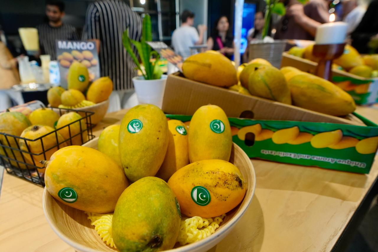 The Consulate General of Pakistan in Istanbul organized the event “King of Fruits, Pakistani Mango” in the city to promote the country’s signature fruit, mango, August 16, 2025. (AA Photo)