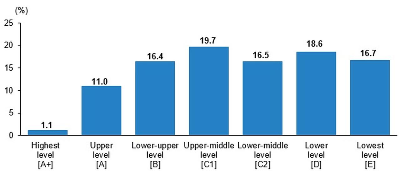 Distribution of households by socioeconomic status in Türkiye, 2023. (Created by TurkStat)