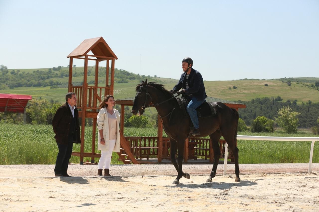Photo of champion movie ,(Photo via ASEAN Film Festival official site  )