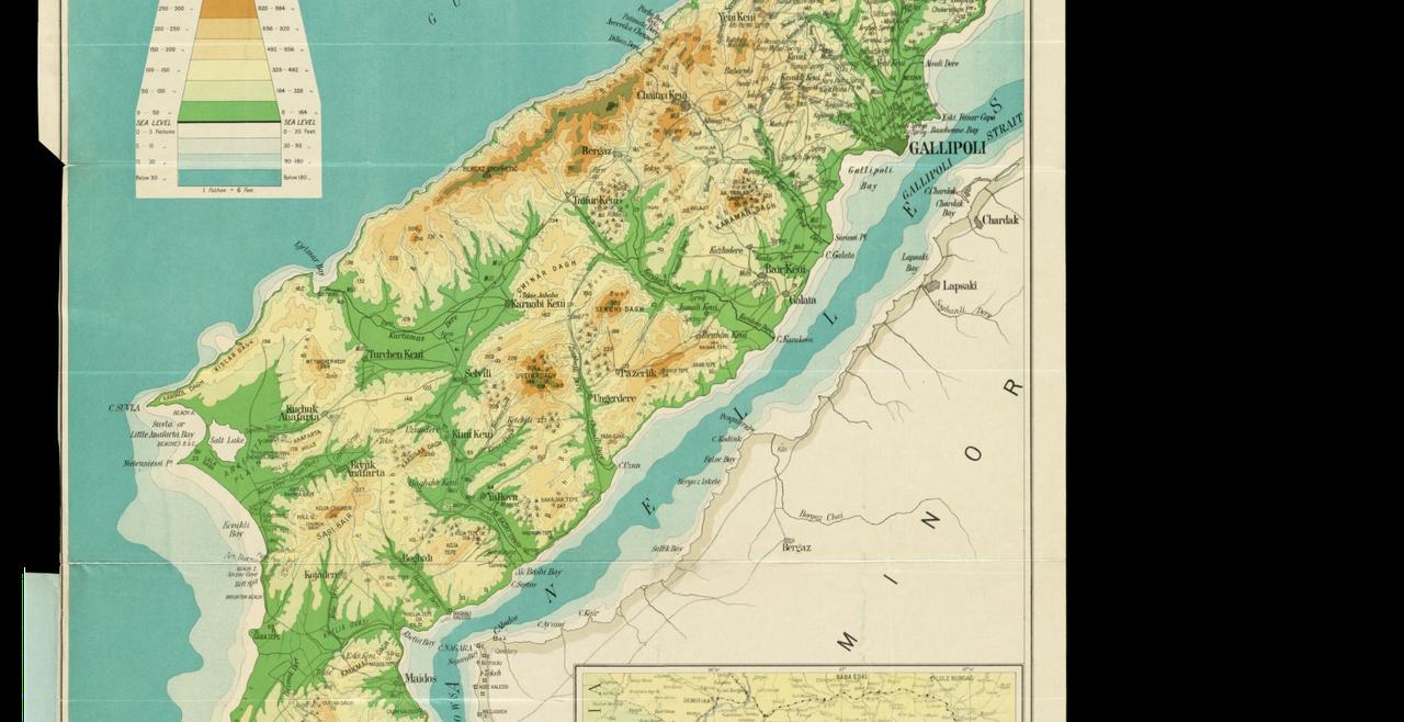 A section of the Gallipoli Peninsula from The Daily Telegraph’s War Maps series dated 1915. The few trees in Gallipoli are marked on the map. (Photo via T24)