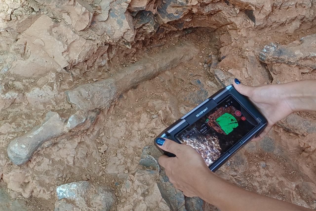 Fossils estimated to be 7 to 9 million years old were discovered during excavations in Tavas district of Denizli, Türkiye, Aug. 22, 2025. (AA Photo)