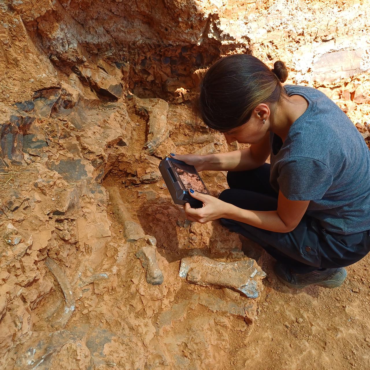Fossils estimated to be 7 to 9 million years old were discovered during excavations in Tavas district of Denizli, Türkiye, Aug. 22, 2025. (AA Photo)