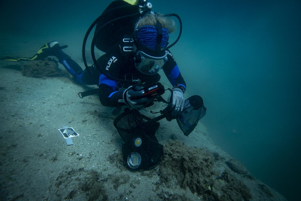Archaeologists continue their excavation efforts at Liman Tepe, an archaeological site in the Urla district of Izmir, Türkiye, Aug. 20, 2025. (AA Photo)
