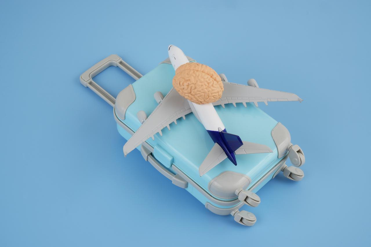 A human brain placed on a suitcase next to an airplane against a blue background, illustrating the concept of brain drain. (Adobe Stock Photo)