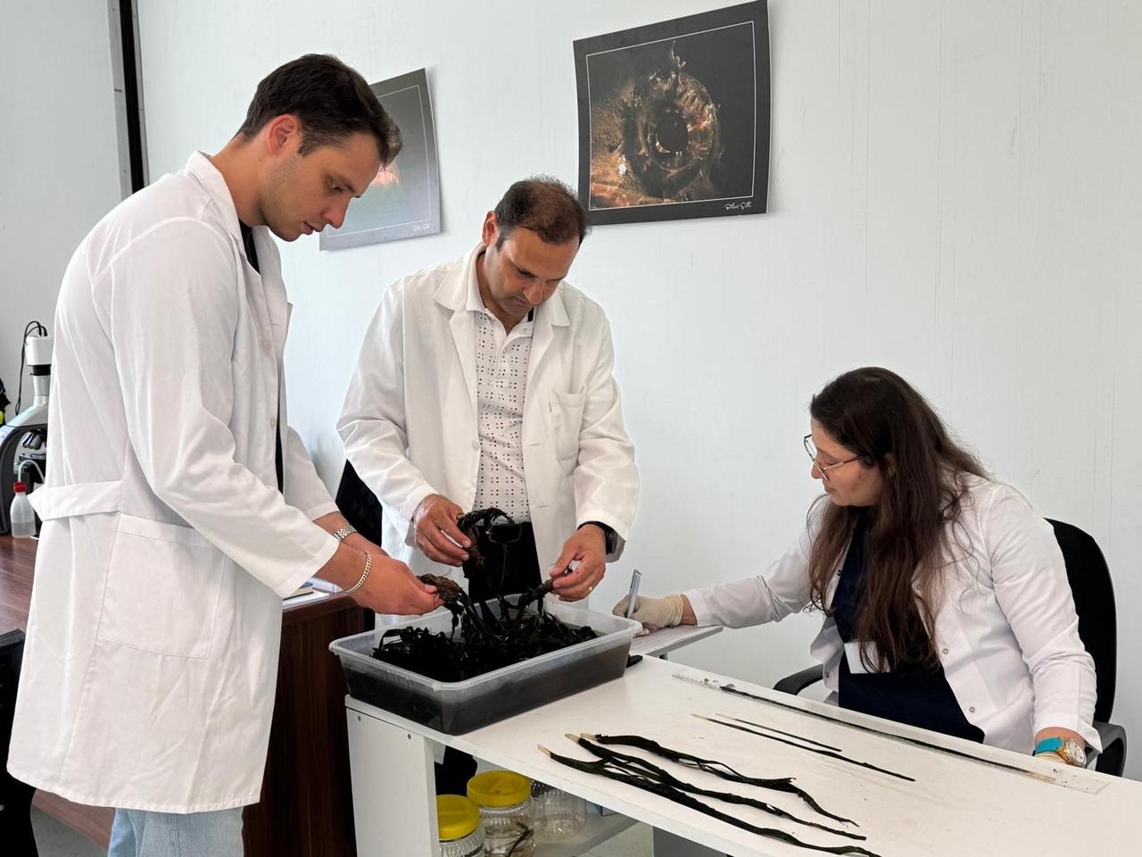 Professor Ergun Taskin and his team conduct laboratory studies on a sample collected off Kizilada in the Fethiye-Gocek Special Environmental Protection Area in Türkiye, Aug. 26, 2025. (IHA Photo)