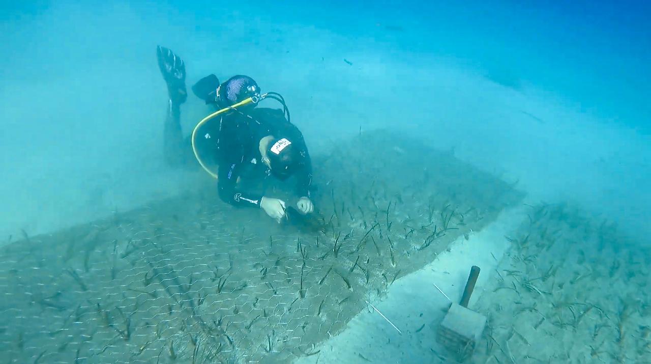Professor Ergun Taskin and his team collect a sample off Kizilada in the Fethiye-Gocek Special Environmental Protection Area in Türkiye, Aug. 26, 2025. (IHA Photo)
