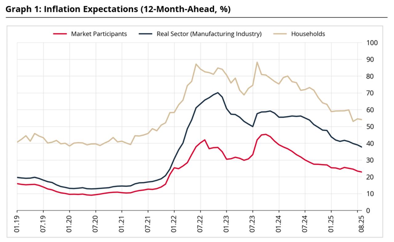 Line chart illustrates 12-month ahead inflation expectations in Türkiye by sector. (Chart via CBRT)