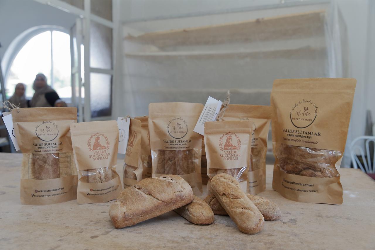 3,500-year-old Hittite bread brought back to life by women’s cooperative in Türkiye Image