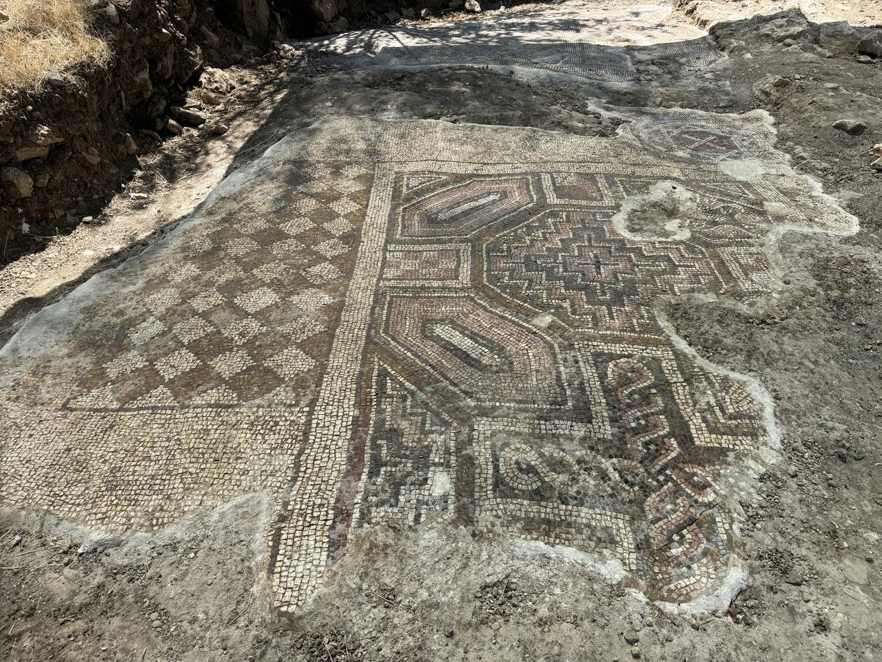 A view of the ancient mosaic discovered in Ergani district of Diyarbakir, Türkiye, August 2, 2025. (AA Photo)