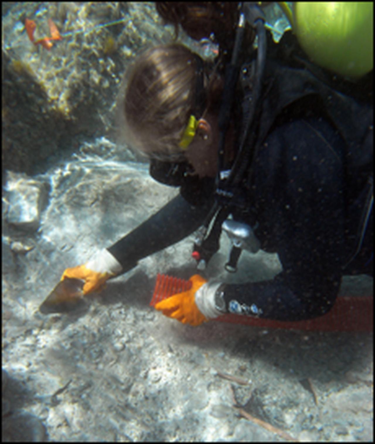 A view from Turkish archaeologist and cultural heritage specialist Asena Ozge Yasar’s underwater archaeological excavations. (Photo courtesy of Yasar’s archive)