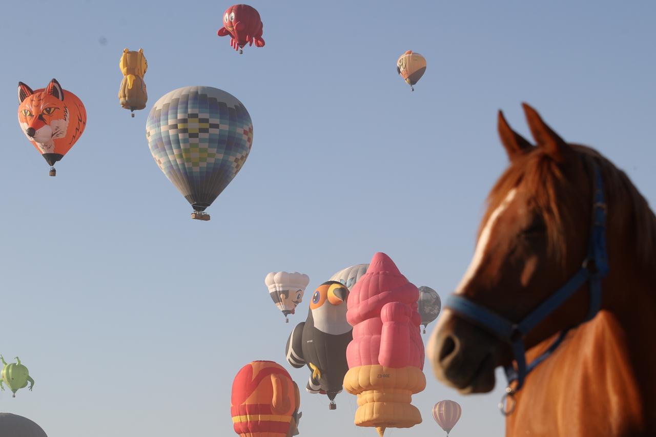 A view shows hot air balloons with various figures performing demonstration flight during the 8th stop of this year’s Türkiye Culture Route Festival organized by the Turkish Ministry of Culture and Tourism in Nevsehir, Türkiye, August 7, 2025. (AA Photo)