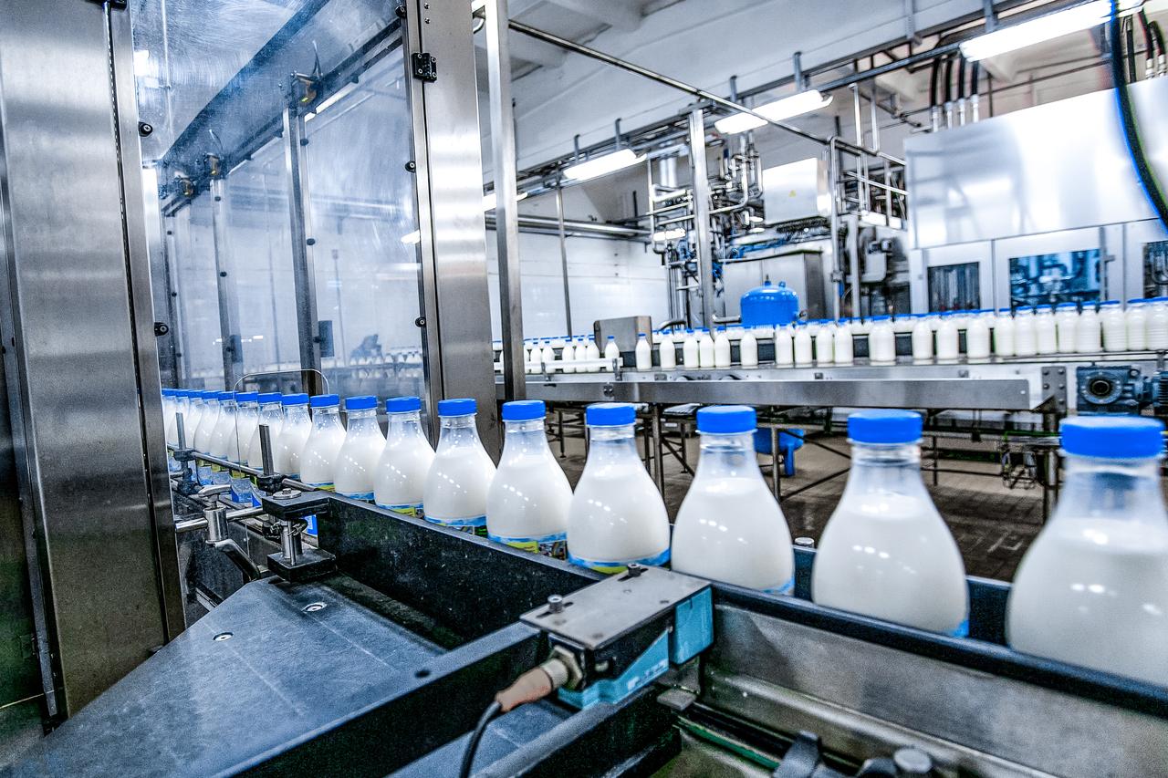 File photo shows milk bottles moving along an automated processing line at a dairy facility. (Adobe Stock Photo)