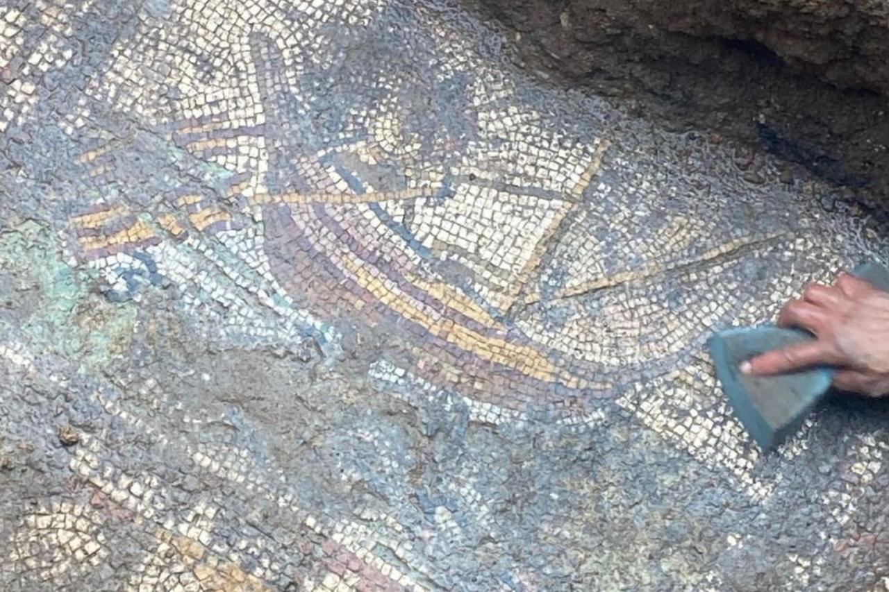 A mosaic floor featuring detailed depictions of a galley and a deer was uncovered during excavation work in Iznik, Bursa, Türkiye, May 17, 2025. (IHA Photo)