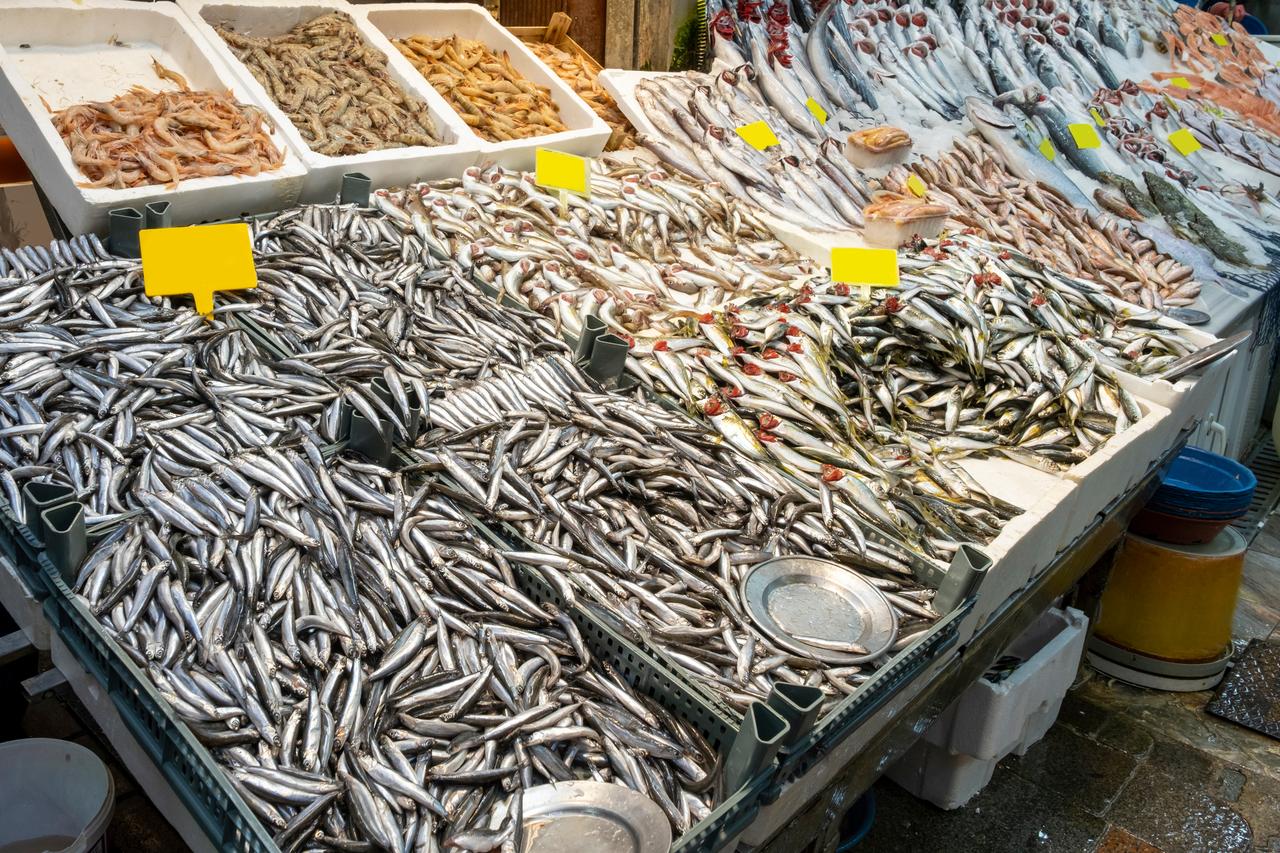 Freshly caught fish and seafood displayed at a market stall in Türkiye. (Adobe Stock Photo)